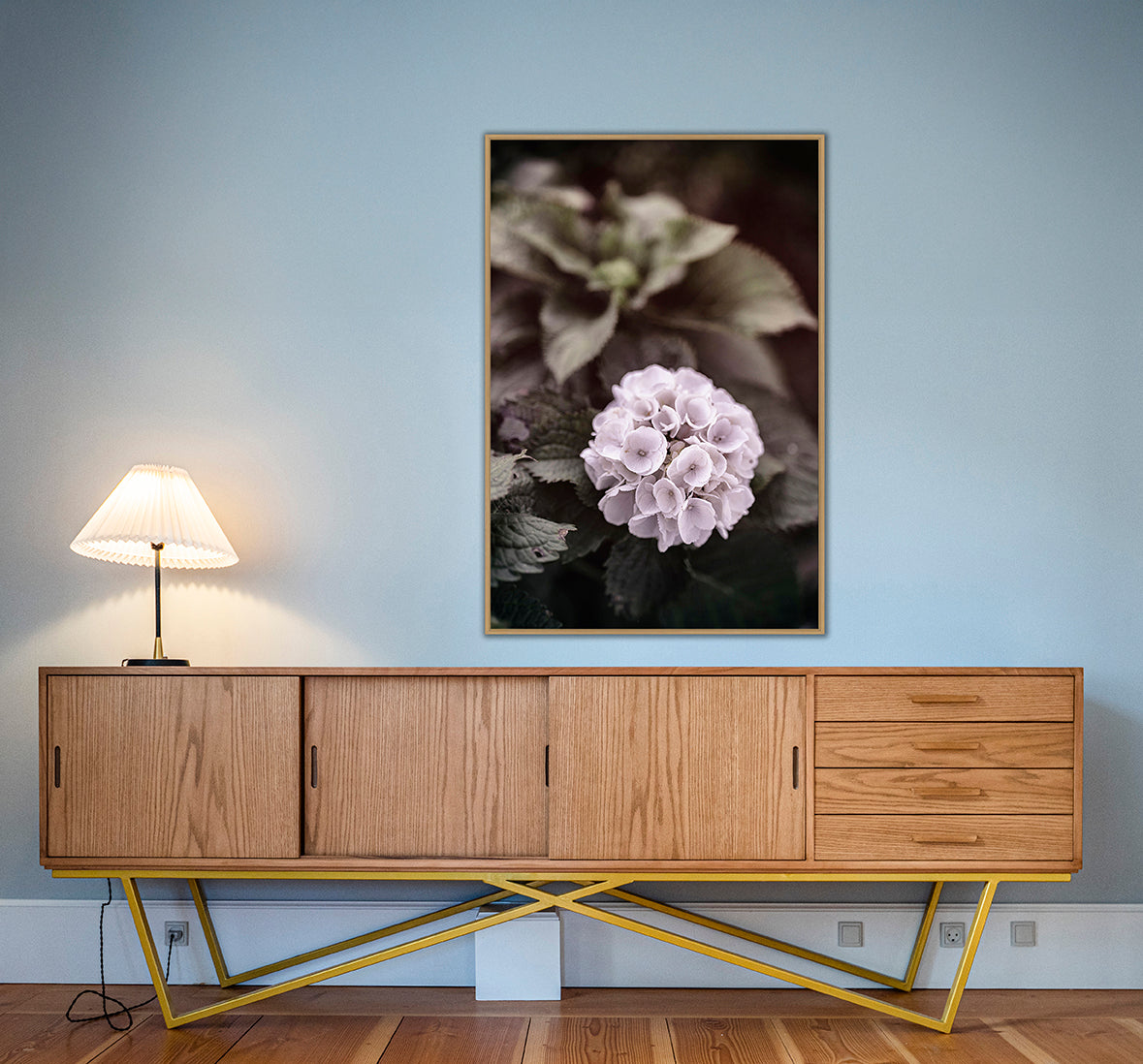Hortensia