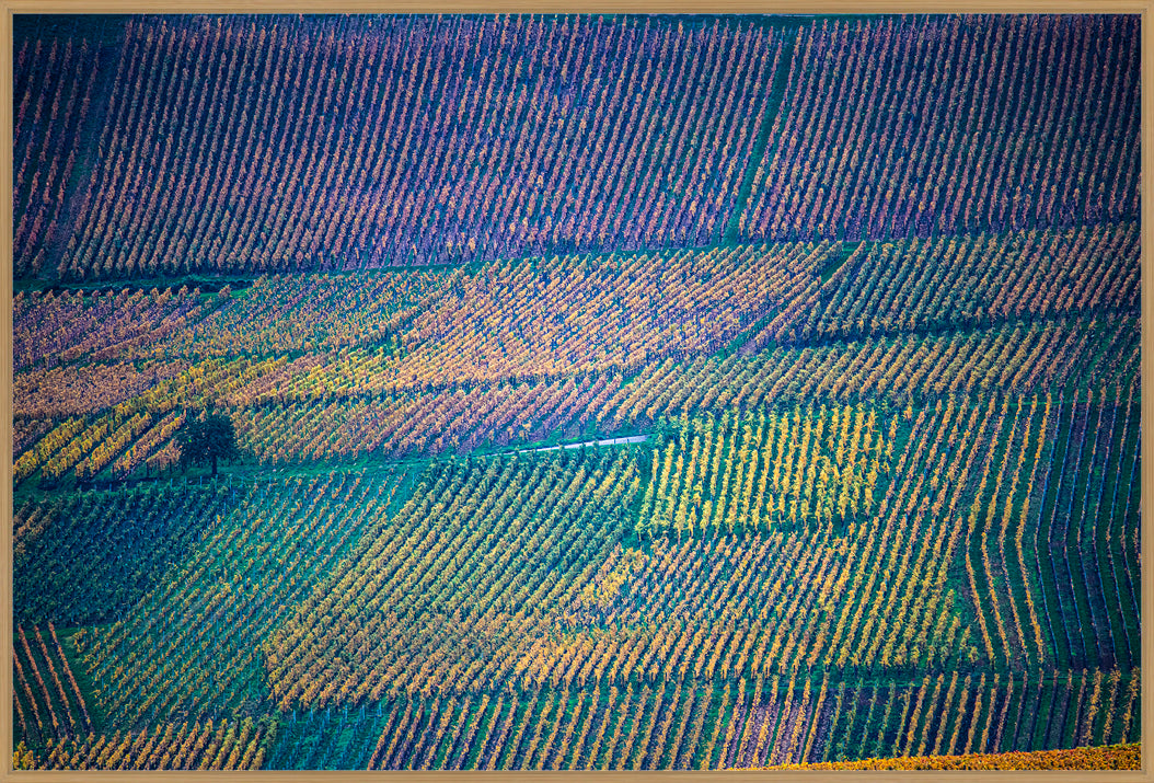 VINMARK I ALSACE