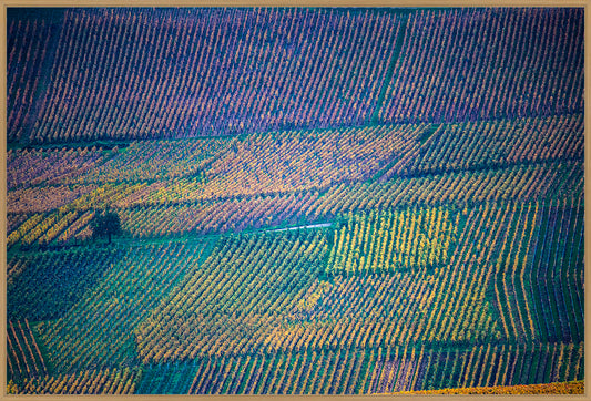 VINMARK I ALSACE