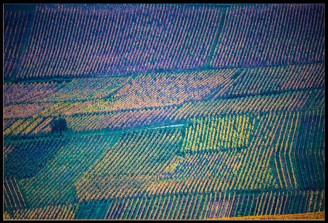 VINMARK I ALSACE