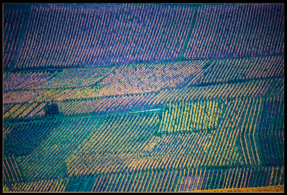VINMARK I ALSACE