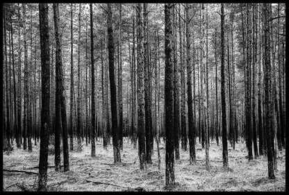 Asserbo Plantage