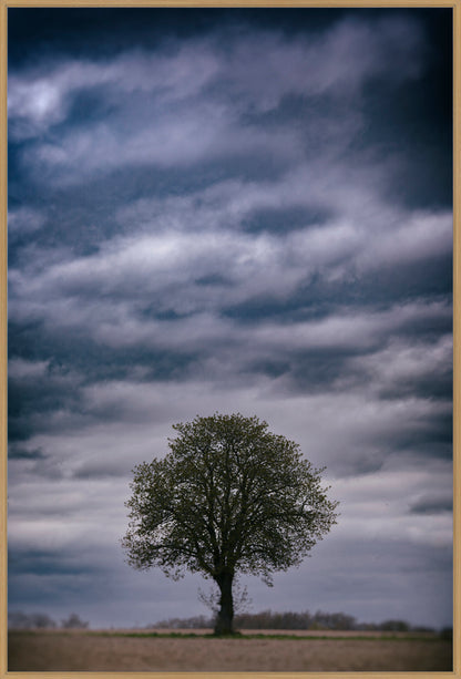 Yggdrasil